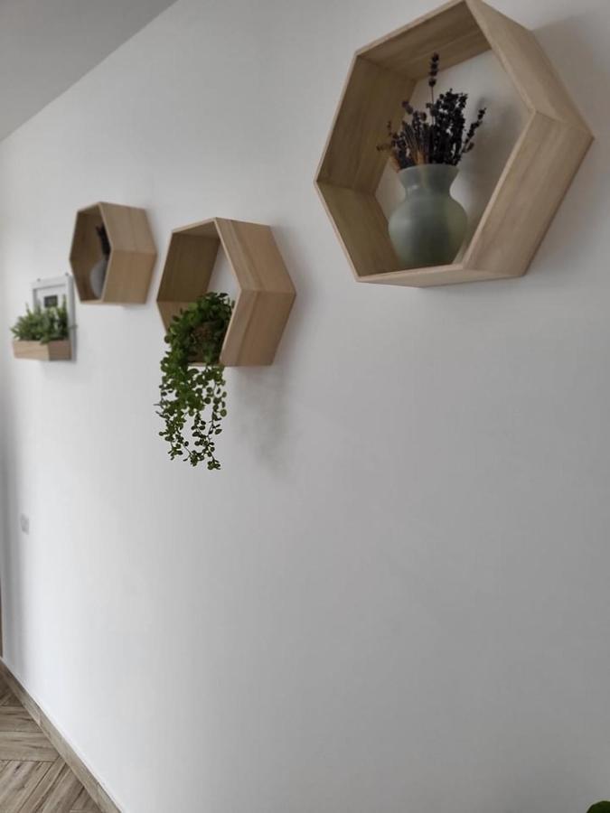 Casa 115 Toplita Экстерьер фото
