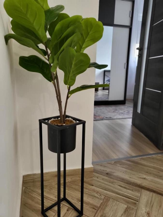 Casa 115 Toplita Экстерьер фото